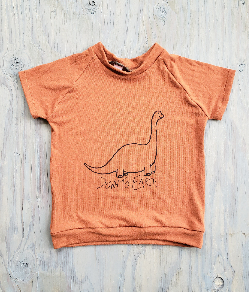 Children's Dino T-Shirt – Mossy Nook Creations - Main Image